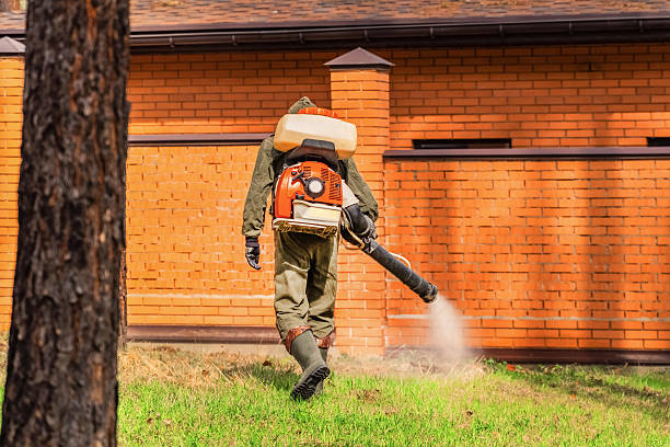 Trusted Emergency Pest Control service in West Kittanning, PA - Nex Pest Control